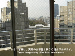 Video Presentation